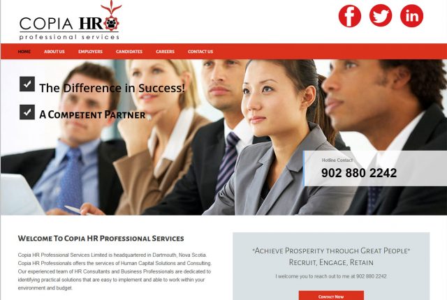 Copia Professional Services Limite